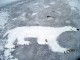 Schnee