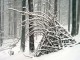 Schnee
